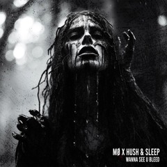 ERR008 || MØ X HUSH&SLEEP - WANNA SEE U BLEED (FREE DOWNLOAD)