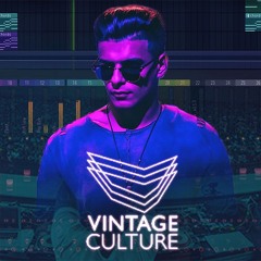 Lose Control - Viintage Culture Style Progressive 2023 [instrumental]