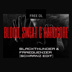 [FREE DL] BlackThunder & Fraequenzer - Blood, Sweat & Hardcore (Schranz Edit).wav