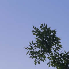 mams gun (Mama's Gun - Glass Animals cover)