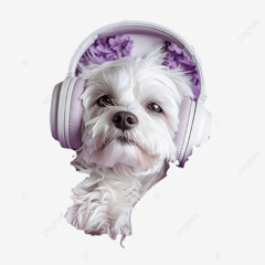 My Mix - 11h22m28s to 12h35m06s