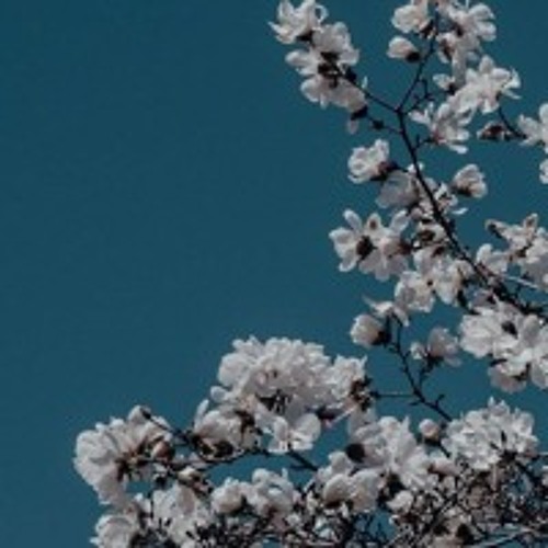 Offline Ft. weluvzae [Prod. Fluxion]
