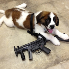 LEADER PT10 MASTERED