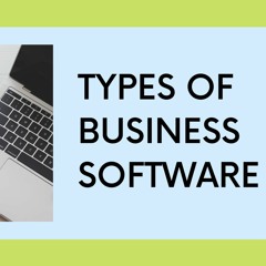 Types of Business Software | Ketki Prabhat