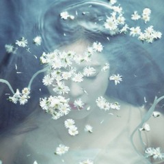 Like A Flower