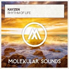 KayZen - Rhythm Of Life