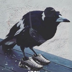 Alex Jones x Fraksha corona fm 2020