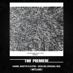 PREMIERE: Damne, Martyn Playfrd - Seedling (Original Mix)