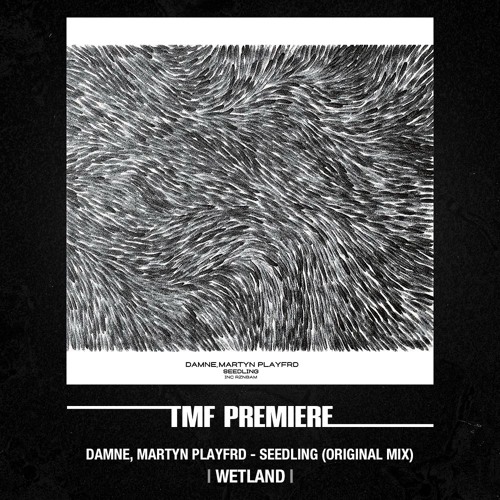 PREMIERE: Damne, Martyn Playfrd - Seedling (Original Mix)