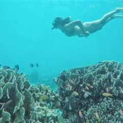 Review Special Price Gili Island Snorkeling Half Day Trip Departure From Trawangan
