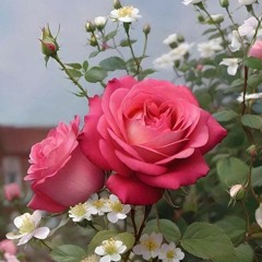 Completo en Ti-Himno 159-Complete in Thee-Hymn 328 🌺🌱🌹