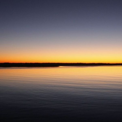 The State of Stillness