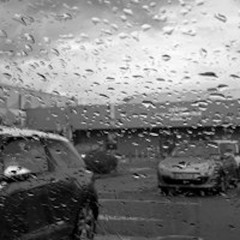 Vue sur mer avec Muette