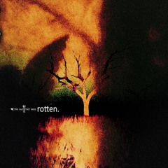 This Summer was Rotten (ft. Vails)