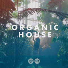 Organic House & Downtempo 2022