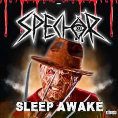SLEEP AWAKE