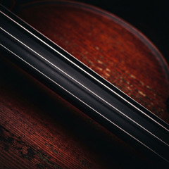 1000001 years (Glitch Radio Edit)