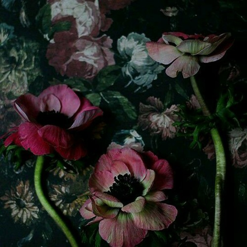 Sheharon Ke Raaz - Prateek Kuhad