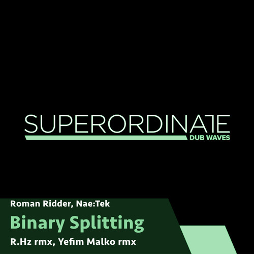 Binary Splitting (R.Hz Rmx) [Superordinate Dub Waves]