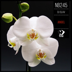 Dj Slav - Angel (Original Mix)
