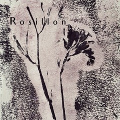 Nachtblumen Podcast #12 Rosillon