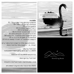 Fallen - This deep river of sudden magic