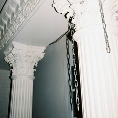 LXV014 - Virus D.D.D - Components