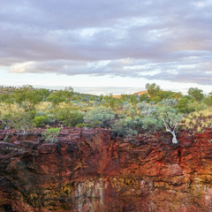 karijini (iron. spinfex)