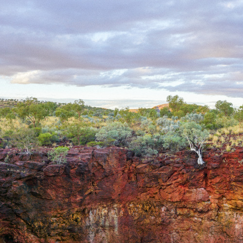 karijini (iron. spinfex)