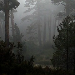 Campo de Agramante (demo casi instrumental)