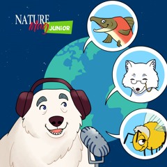 Nature Mag Junior (Balado)