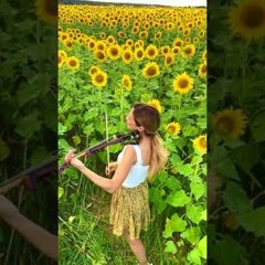 Memories - Maroon 5 Violin Cover In Sun Flower