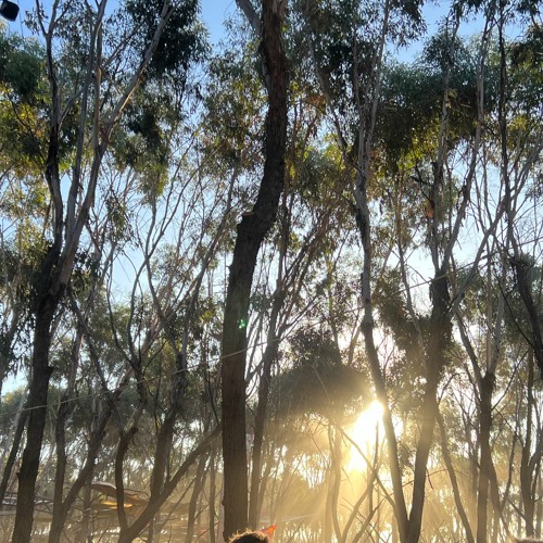 Rainbow Serpent 2020 Application A