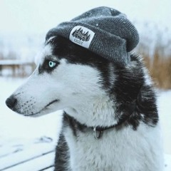 Sheregesh (High-Tech Minimal Techno Mix) by Husky