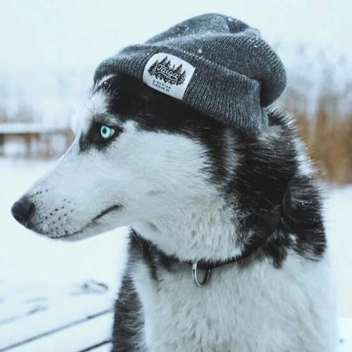 Sheregesh (High-Tech Minimal Techno Mix) by Husky