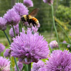 Dance Journey November 2025