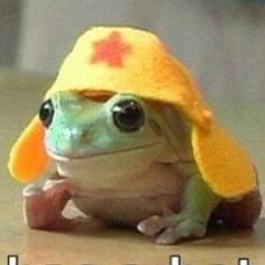 minimalfrog140123-220646