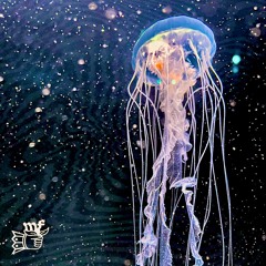 Mums Favourite - Jellyfish Rain