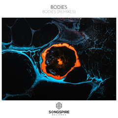 Bodies (Erdi Irmak Remix)