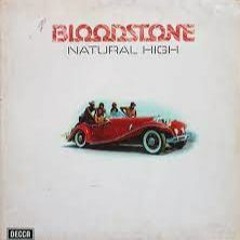 Bloodstone Natural High