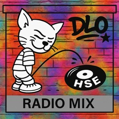 House mix (DLO RADIO #1)