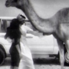 حتى لو تطلب العمر بعطيك