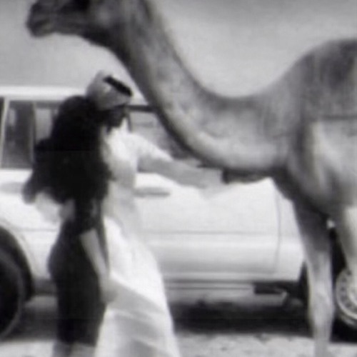 حتى لو تطلب العمر بعطيك