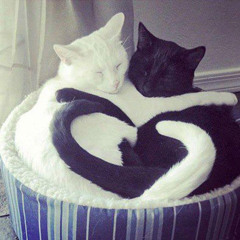 <3 u [stryder]