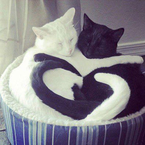 <3 u [stryder]