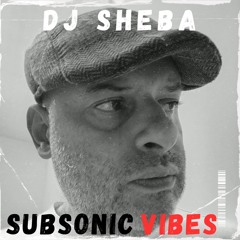 Subsonic Vibes