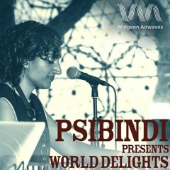 World Delights Mix - Widgeon Airwaves