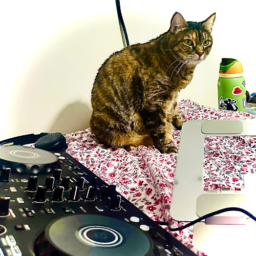 chari the creator_deep house dot.mix