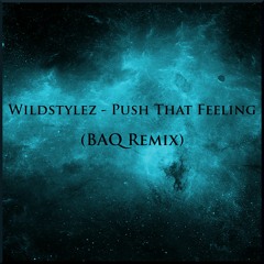 Wildstylez - Push That Feeling (BAQ Remix)