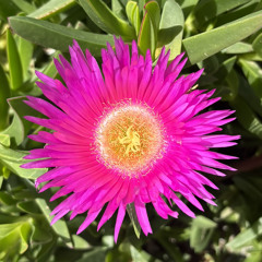 House Boost (10-Minute Energizer)